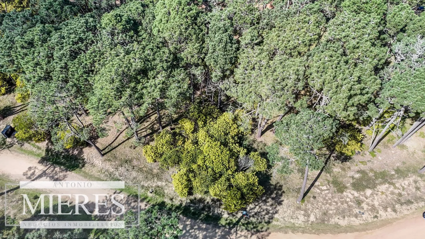 TERRENO EN VENTA EN RESERVA MONTOYA — foto 4