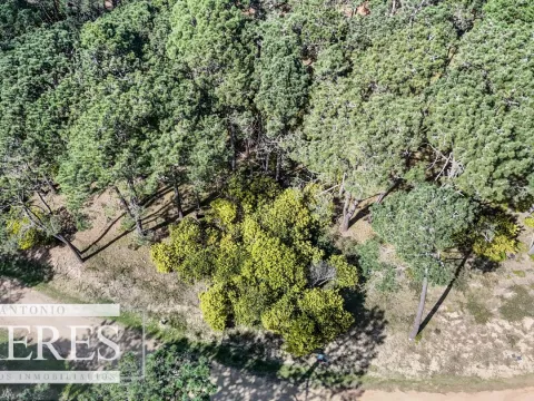 TERRENO EN VENTA EN RESERVA MONTOYA — foto 4