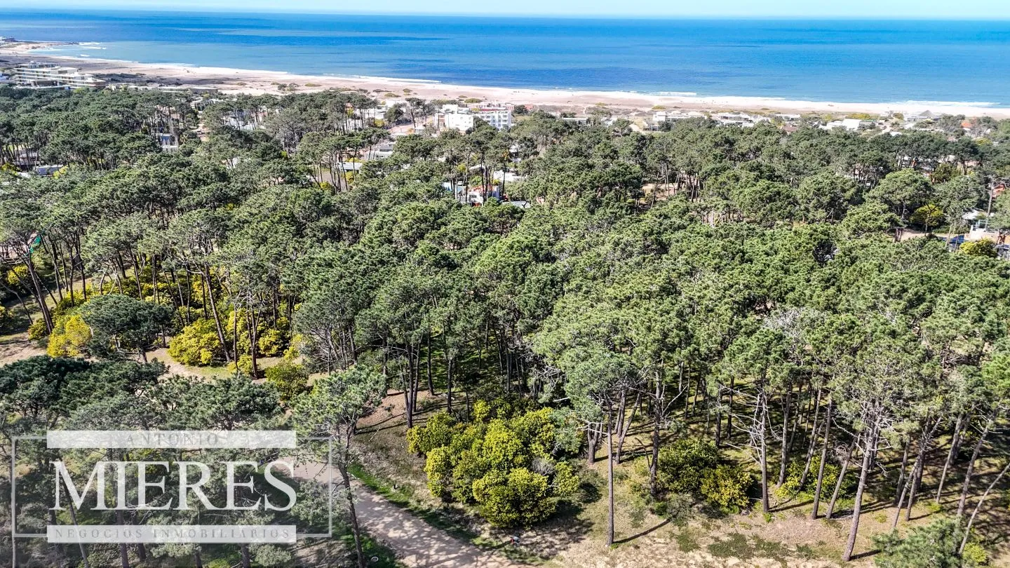TERRENO EN VENTA EN RESERVA MONTOYA — foto 5