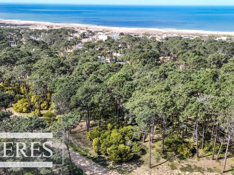 TERRENO EN VENTA EN RESERVA MONTOYA — foto 5