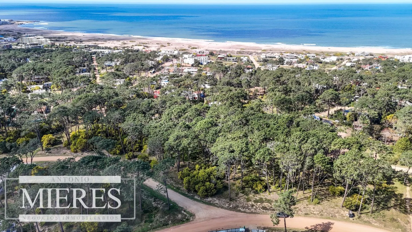 TERRENO EN VENTA EN RESERVA MONTOYA — foto 6