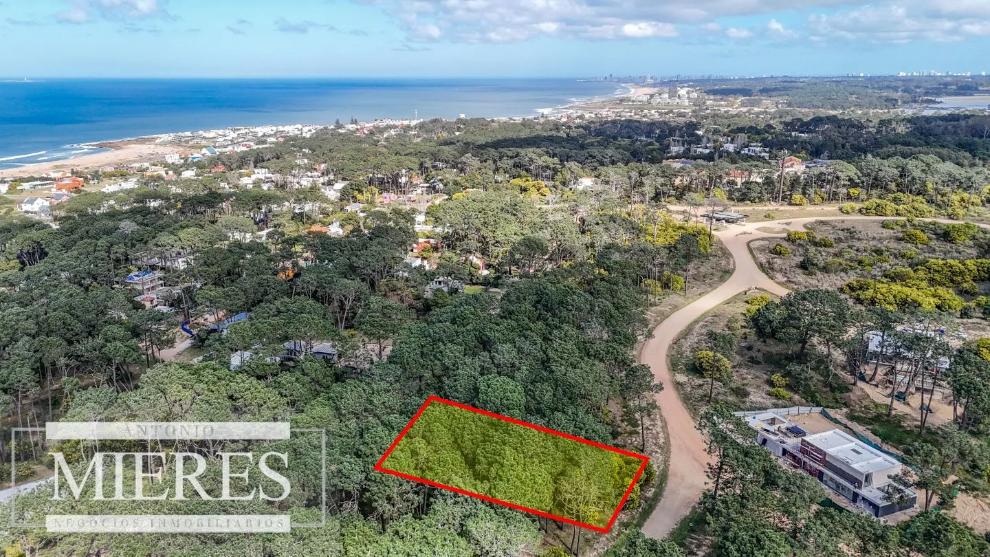 TERRENO EN VENTA EN RESERVA MONTOYA — foto 8