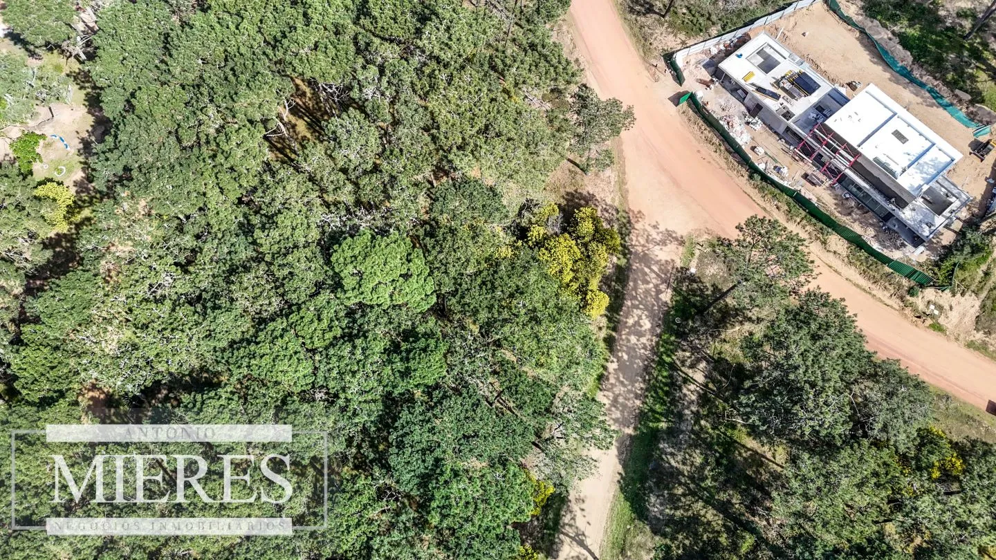 TERRENO EN VENTA EN RESERVA MONTOYA — foto 11