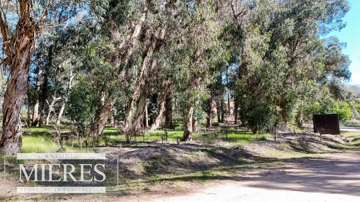 VENTA, TERRENO,1016MTS, RESERVA MONTOYA — foto 3