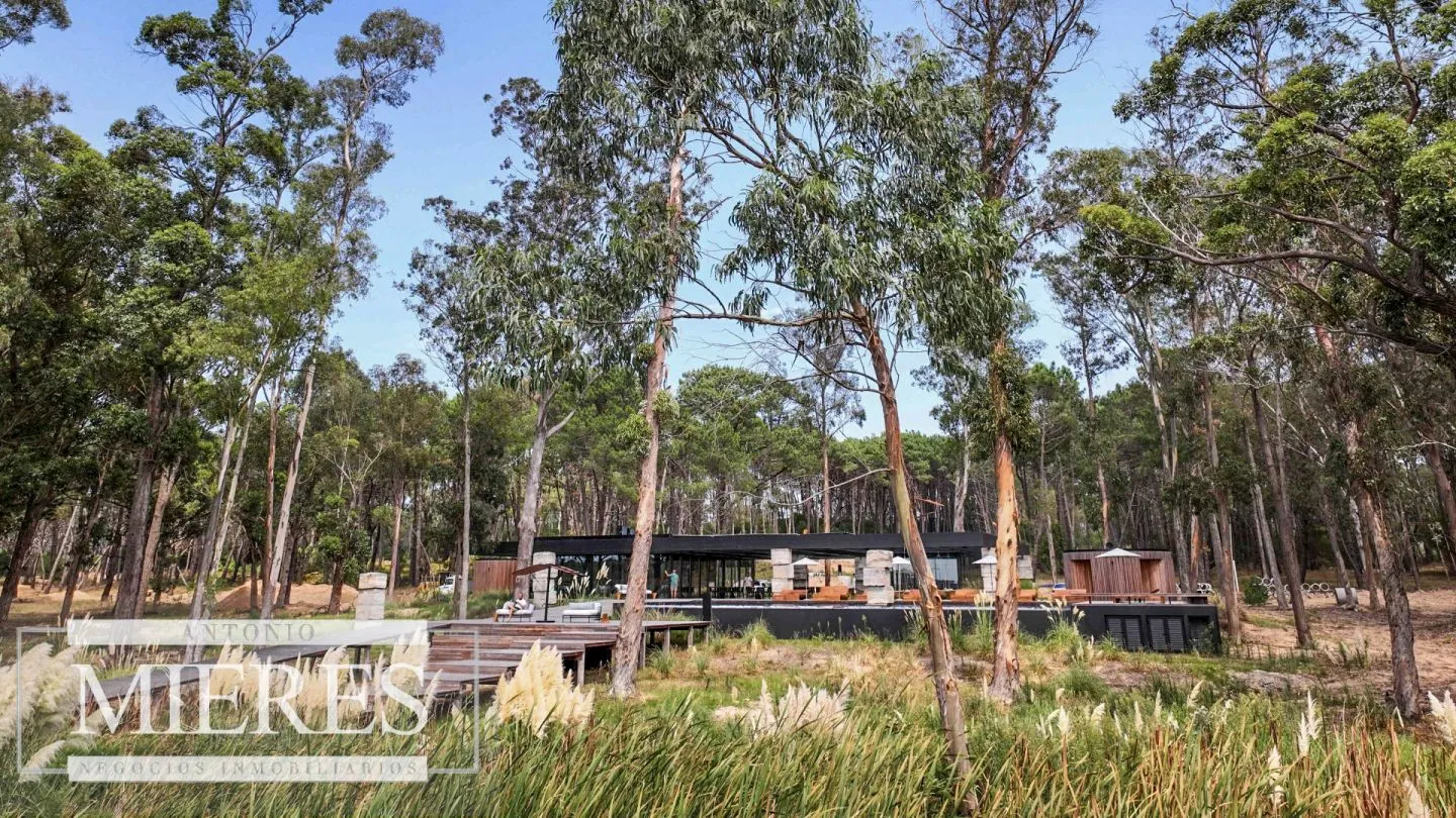 TERRENO EN VENTA EN RESERVA MONTOYA — foto 15