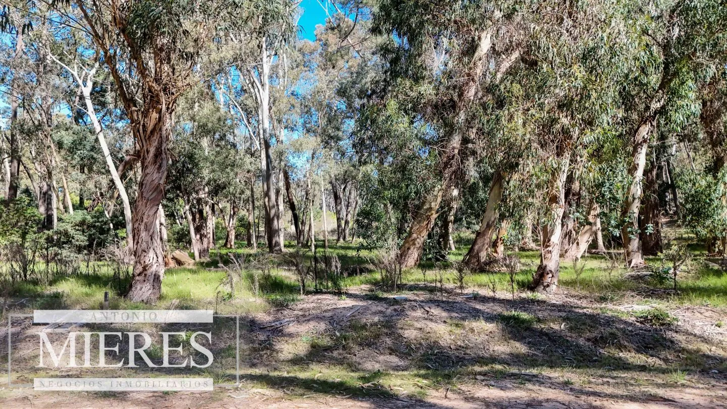 VENTA, TERRENO,1016MTS, RESERVA MONTOYA — foto 4