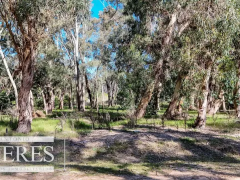 VENTA, TERRENO,1016MTS, RESERVA MONTOYA — foto 4