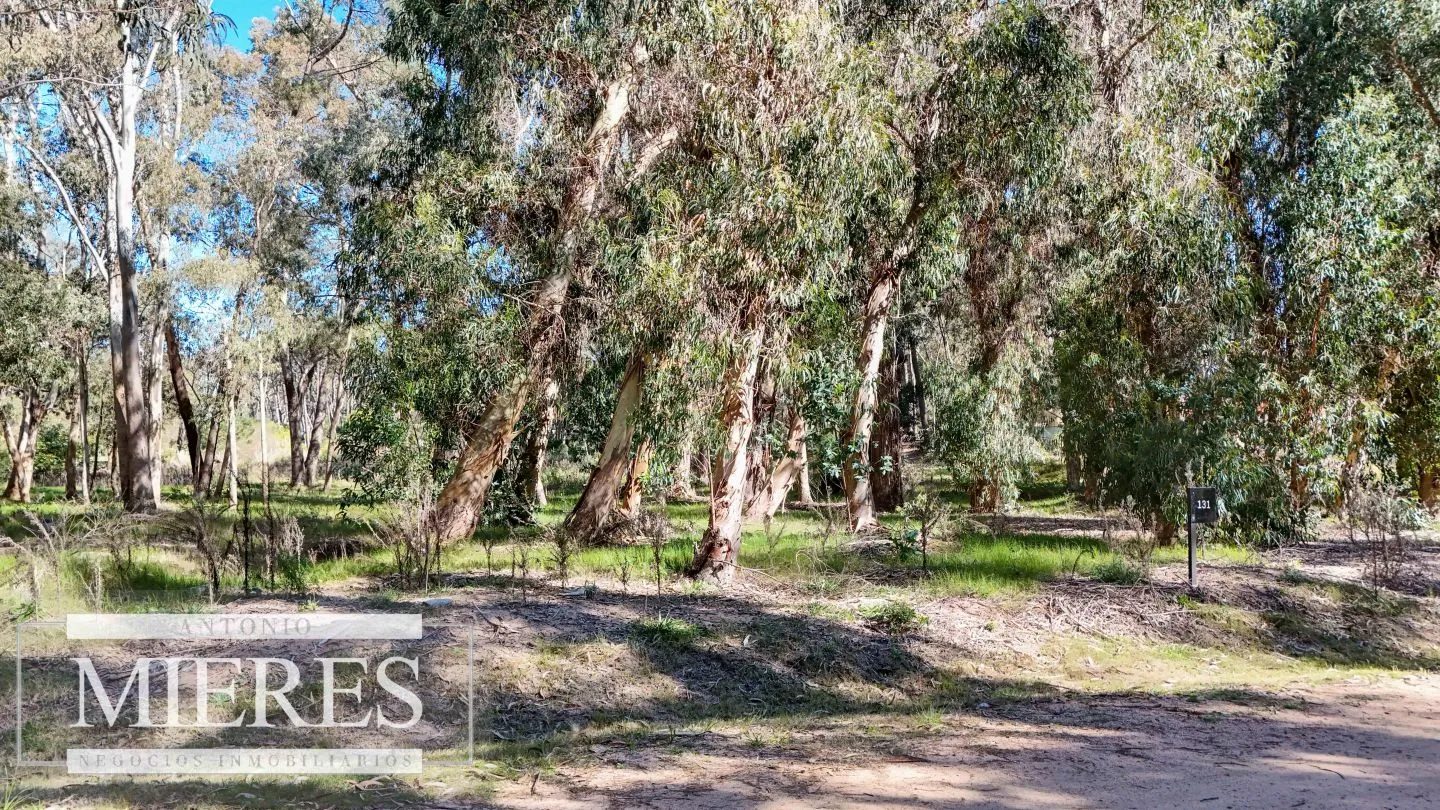 VENTA, TERRENO,1016MTS, RESERVA MONTOYA — foto 5