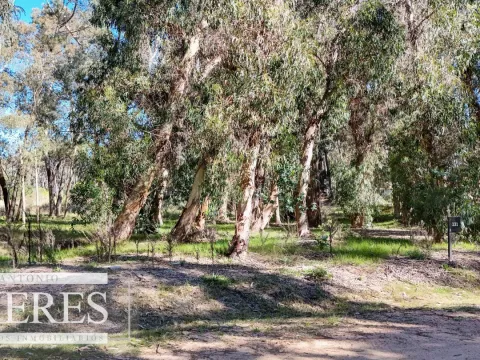 VENTA, TERRENO,1016MTS, RESERVA MONTOYA — foto 5