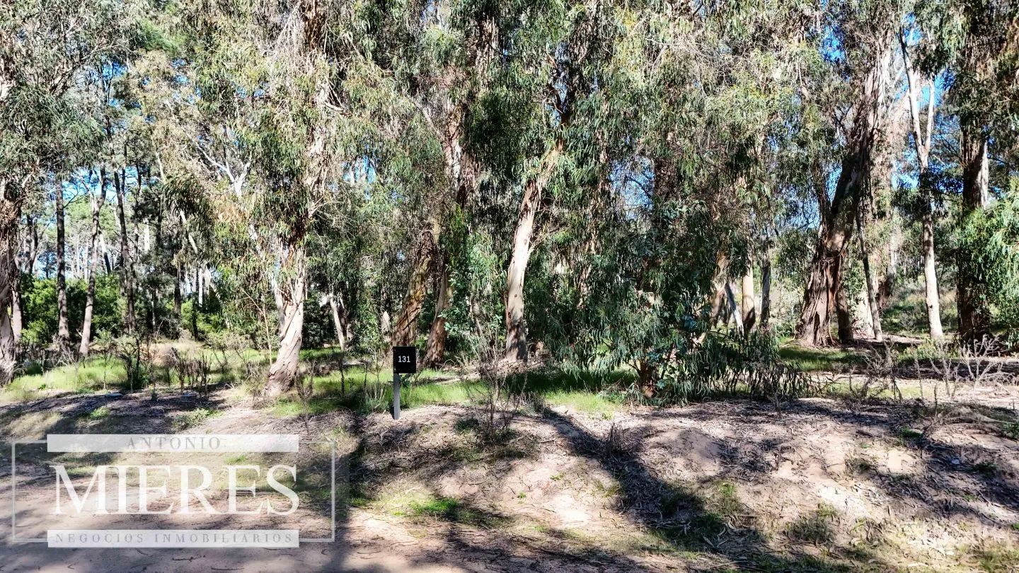 VENTA, TERRENO,1016MTS, RESERVA MONTOYA — foto 6