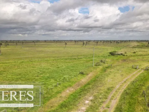 Campo en Rocha ganadero agrícola 125ha