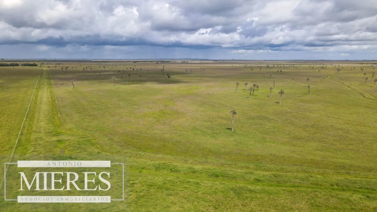 Campo en Rocha ganadero agrícola 125ha — foto 2