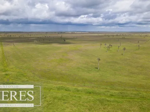 Campo en Rocha ganadero agrícola 125ha — foto 2