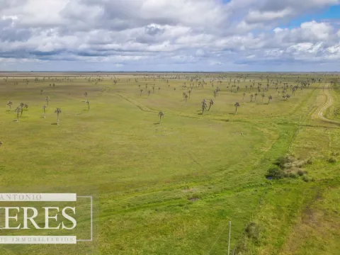 Campo en Rocha ganadero agrícola 125ha — foto 3