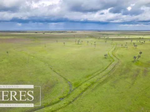 Campo en Rocha ganadero agrícola 125ha — foto 4