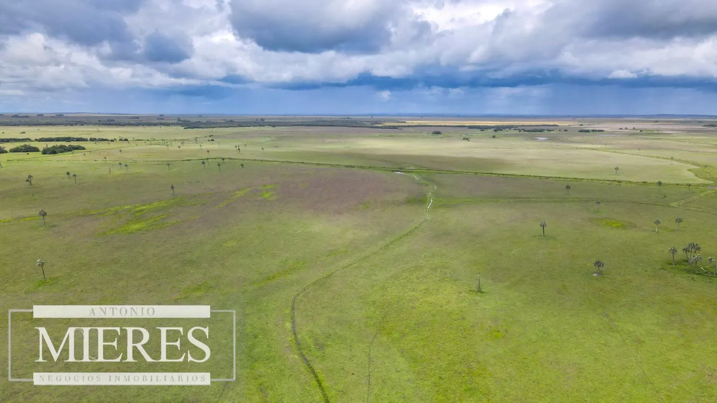 Campo en Rocha ganadero agrícola 125ha — foto 5