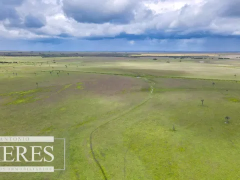 Campo en Rocha ganadero agrícola 125ha — foto 5