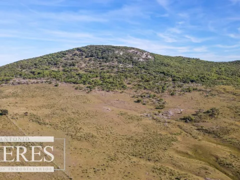 Campo en venta de 33 ha a 6 km de Pan de Azúcar