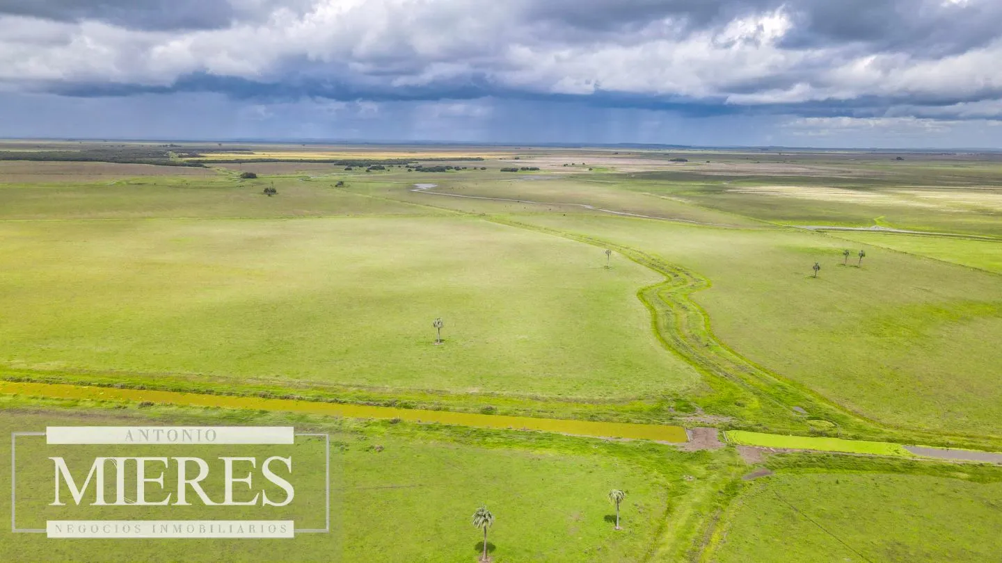Campo en Rocha ganadero agrícola 125ha — foto 8