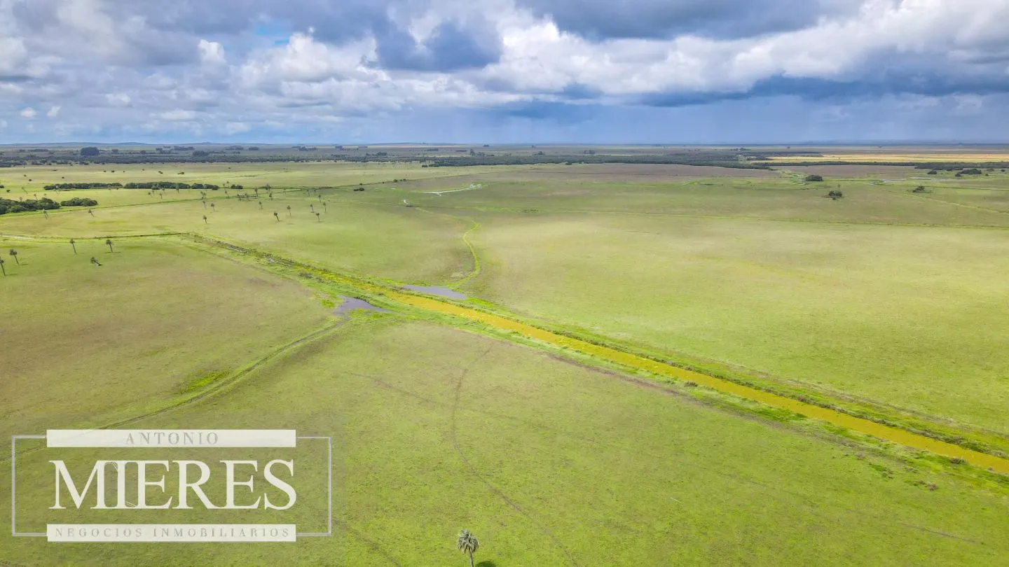 Campo en Rocha ganadero agrícola 125ha — foto 9