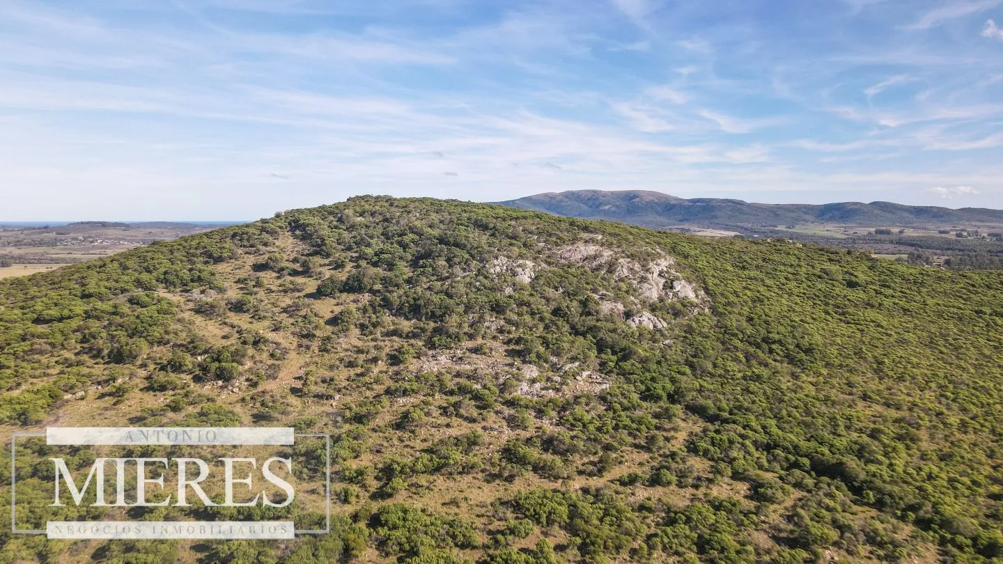 Campo en venta de 33 ha a 6 km de Pan de Azúcar — foto 2