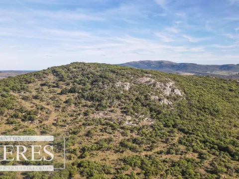 Campo en venta de 33 ha a 6 km de Pan de Azúcar — foto 2