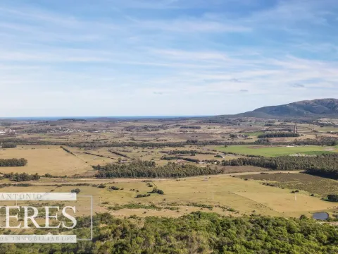 Campo en venta de 33 ha a 6 km de Pan de Azúcar — foto 3