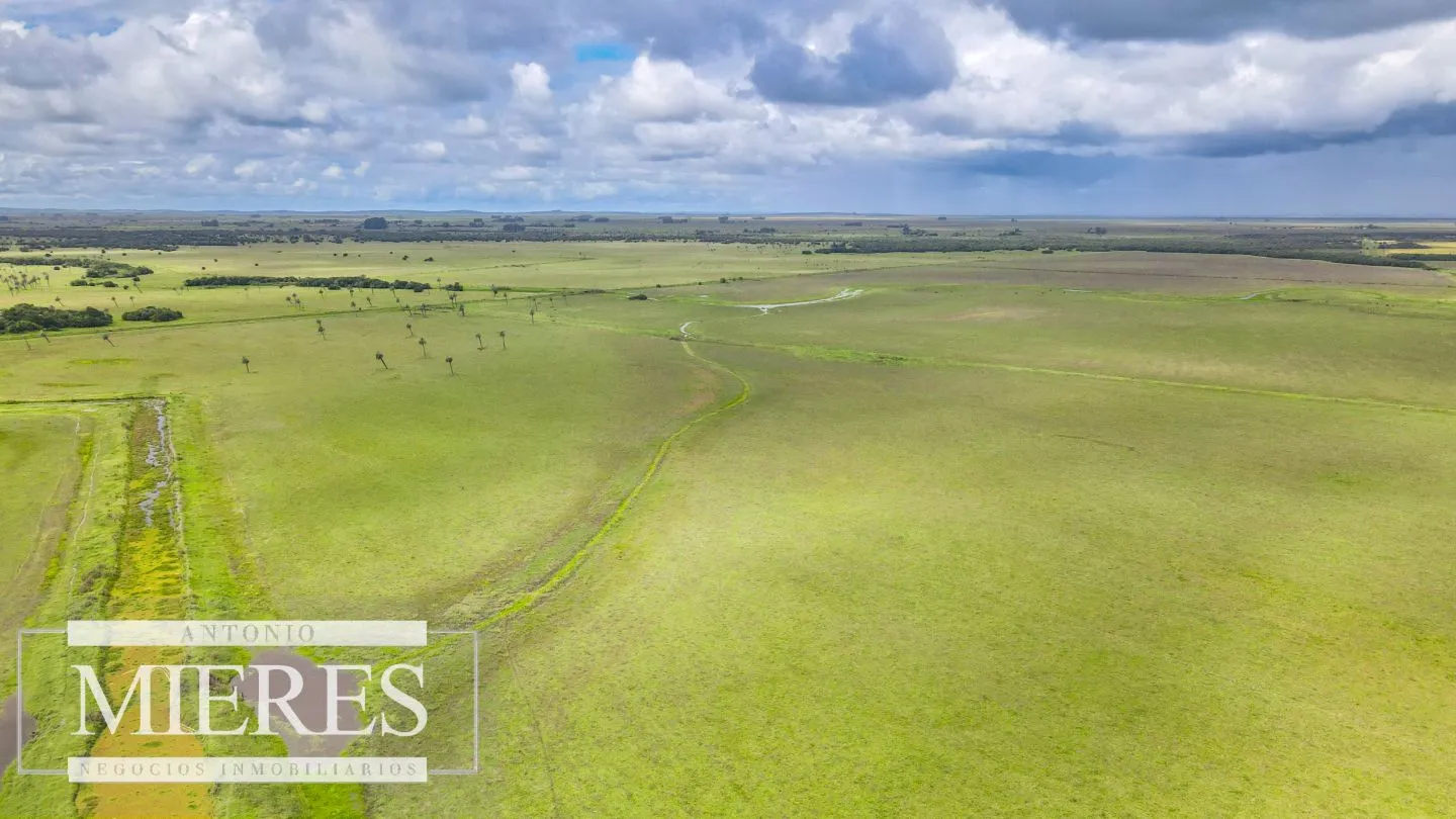 Campo en Rocha ganadero agrícola 125ha — foto 10