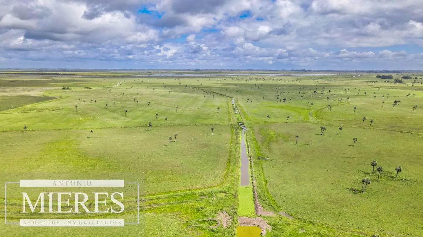 Campo en Rocha ganadero agrícola 125ha — foto 11