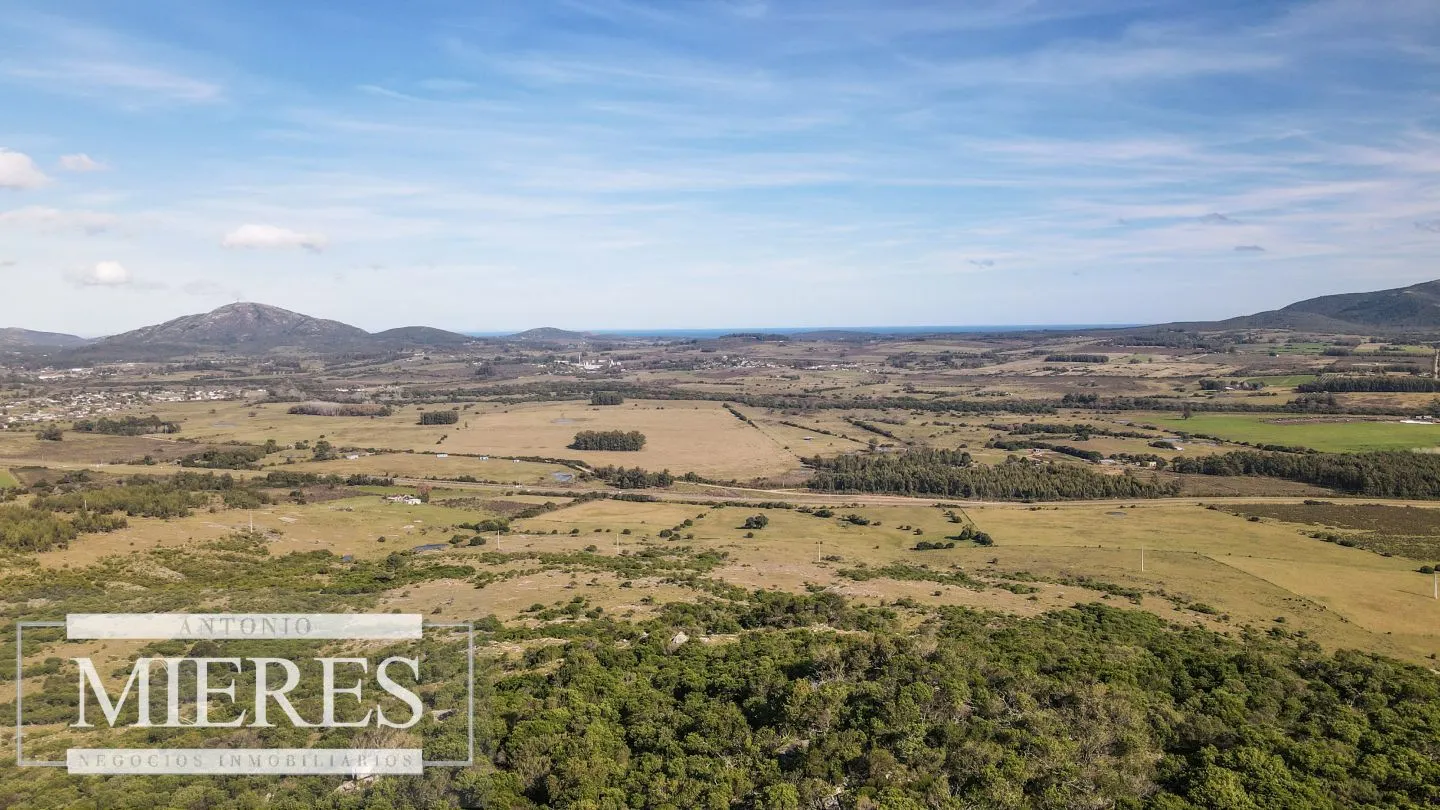 Campo en venta de 33 ha a 6 km de Pan de Azúcar — foto 4