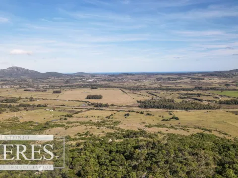 Campo en venta de 33 ha a 6 km de Pan de Azúcar — foto 4