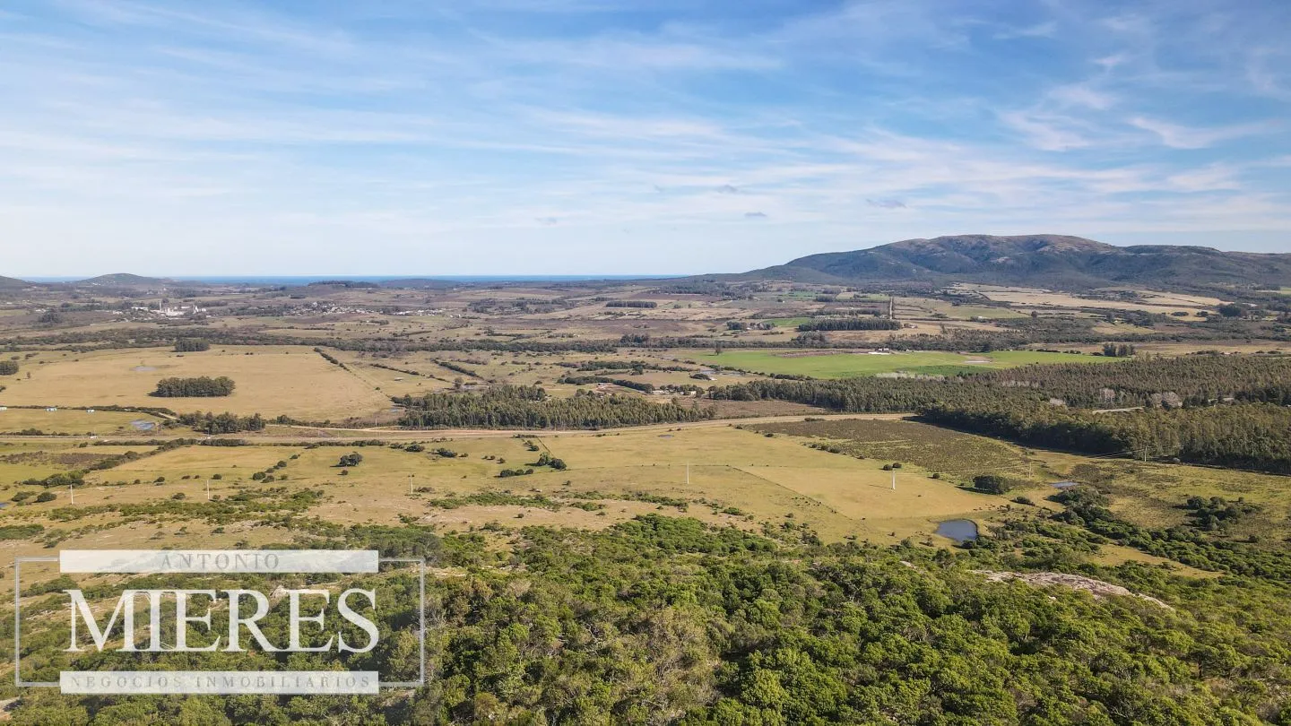 Campo en venta de 33 ha a 6 km de Pan de Azúcar — foto 6
