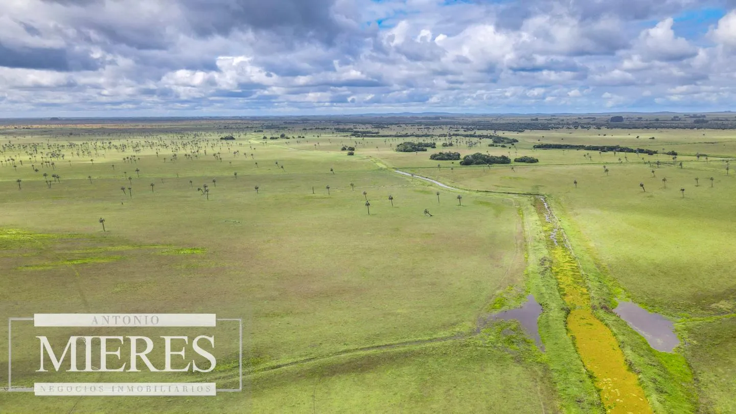 Campo en Rocha ganadero agrícola 125ha — foto 14