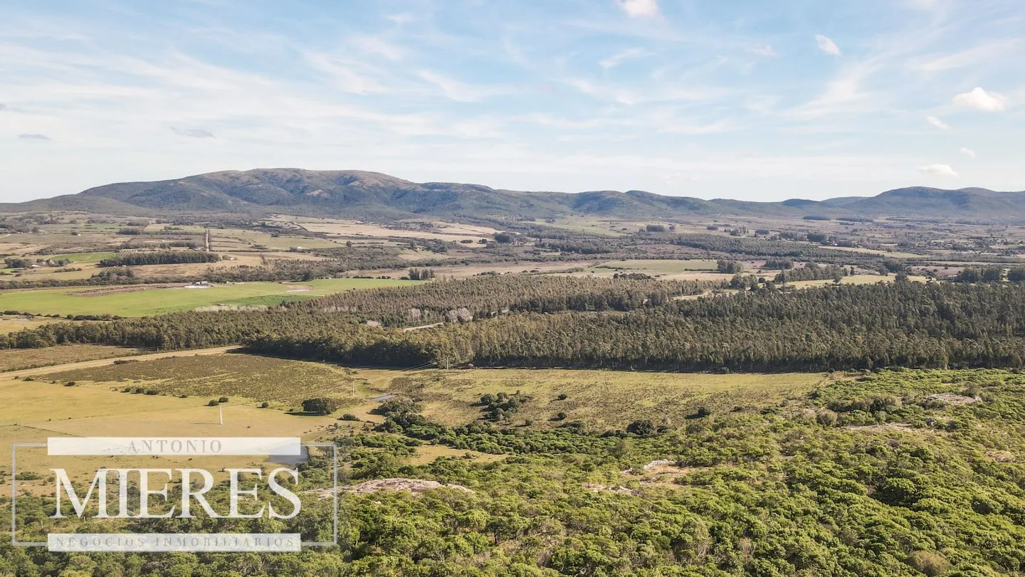 Campo en venta de 33 ha a 6 km de Pan de Azúcar — foto 7