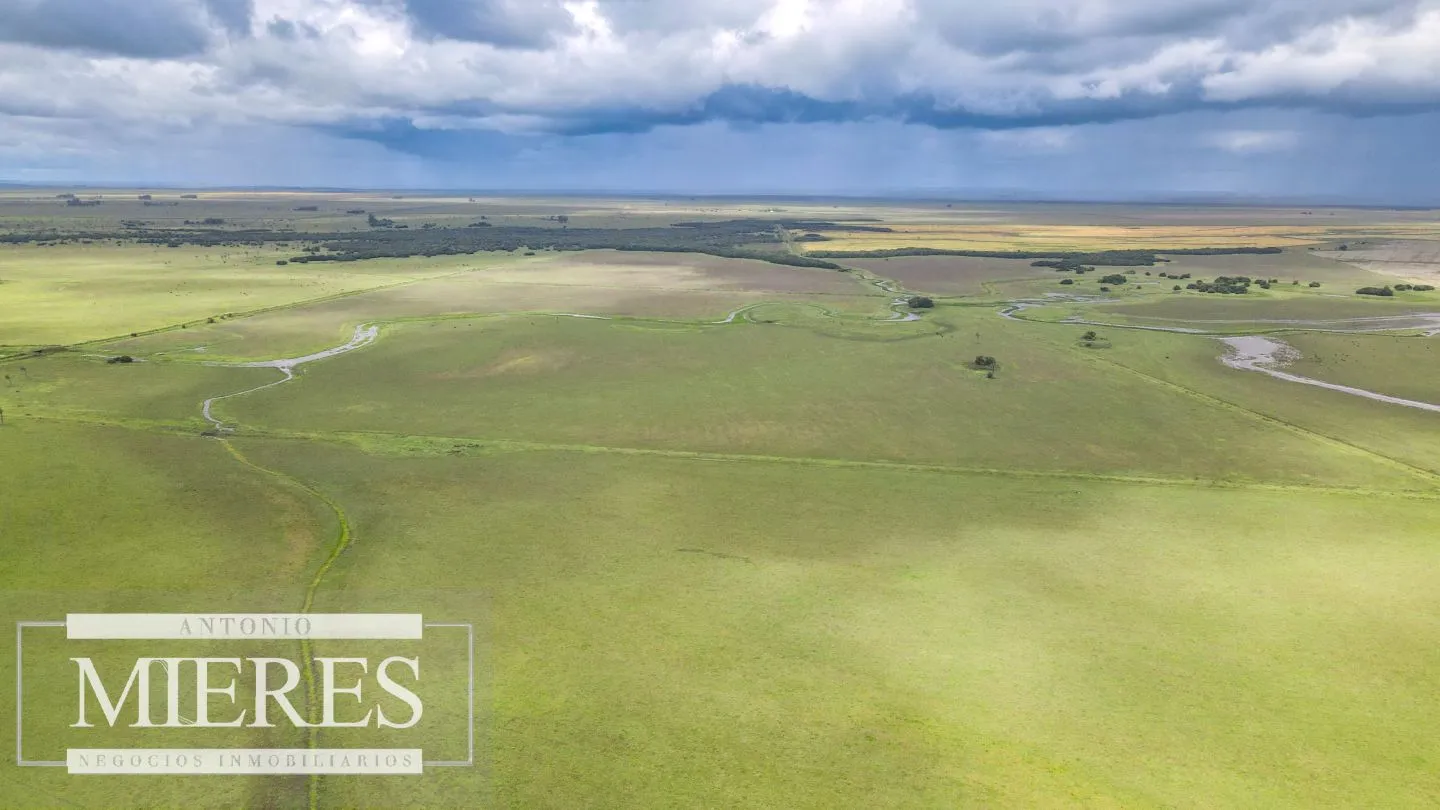 Campo en Rocha ganadero agrícola 125ha — foto 15