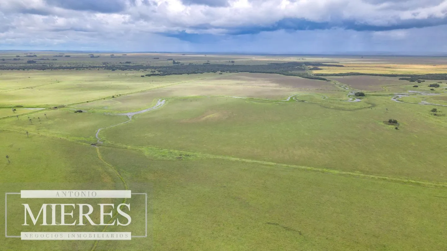 Campo en Rocha ganadero agrícola 125ha — foto 16