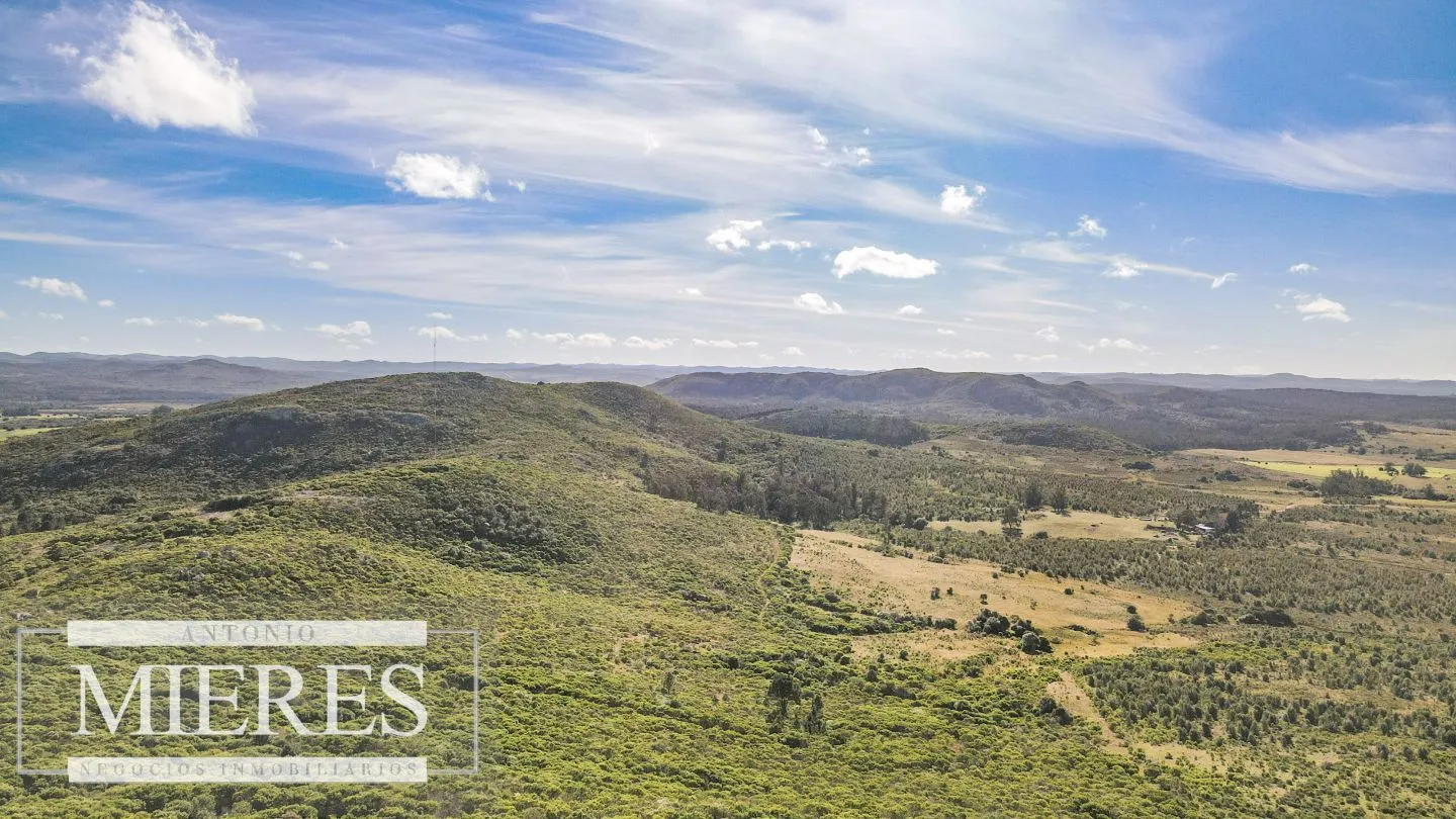 Campo en venta de 33 ha a 6 km de Pan de Azúcar — foto 9