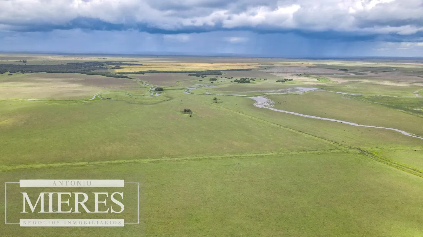 Campo en Rocha ganadero agrícola 125ha — foto 17