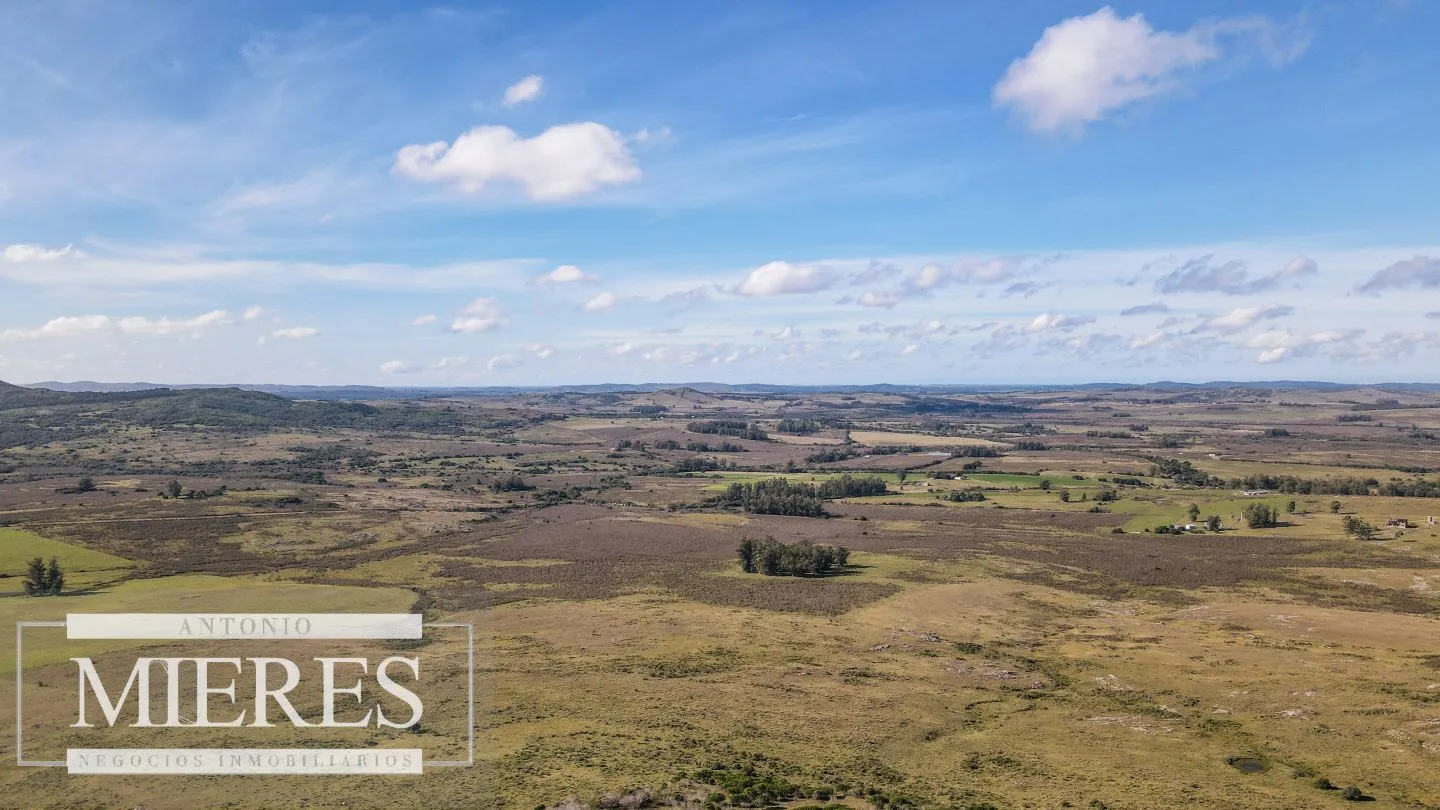 Campo en venta de 33 ha a 6 km de Pan de Azúcar — foto 10