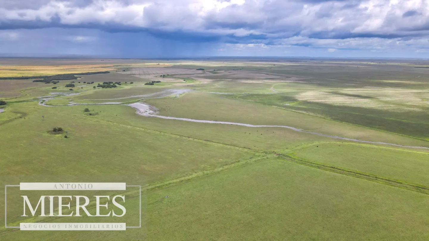Campo en Rocha ganadero agrícola 125ha — foto 18