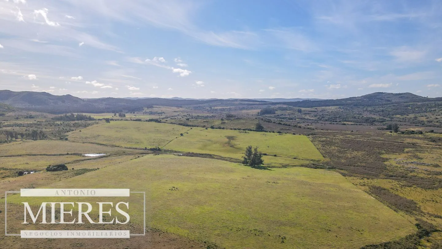 Campo en venta de 33 ha a 6 km de Pan de Azúcar — foto 12