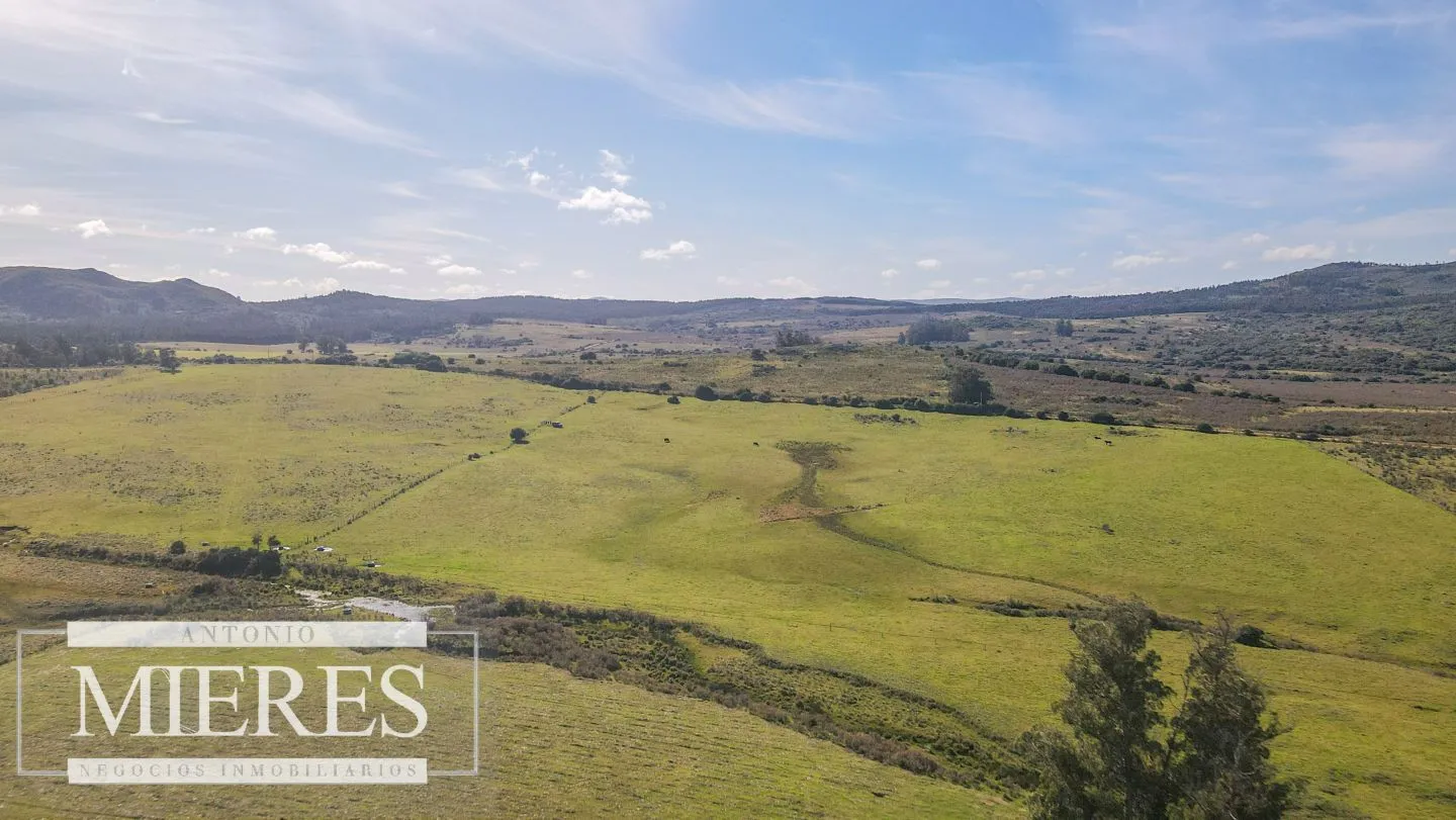 Campo en venta de 33 ha a 6 km de Pan de Azúcar — foto 13