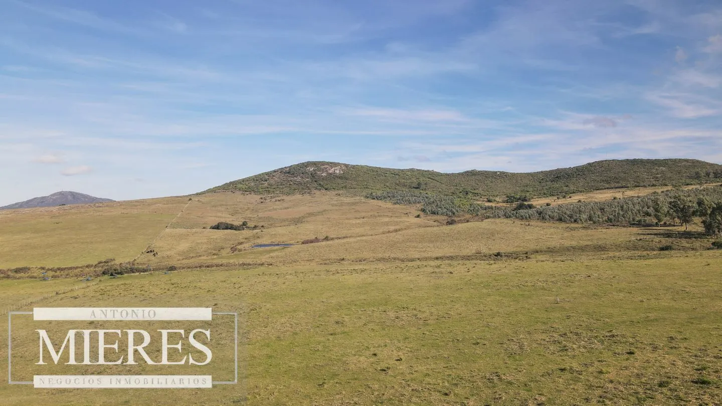 Campo en venta de 33 ha a 6 km de Pan de Azúcar — foto 14