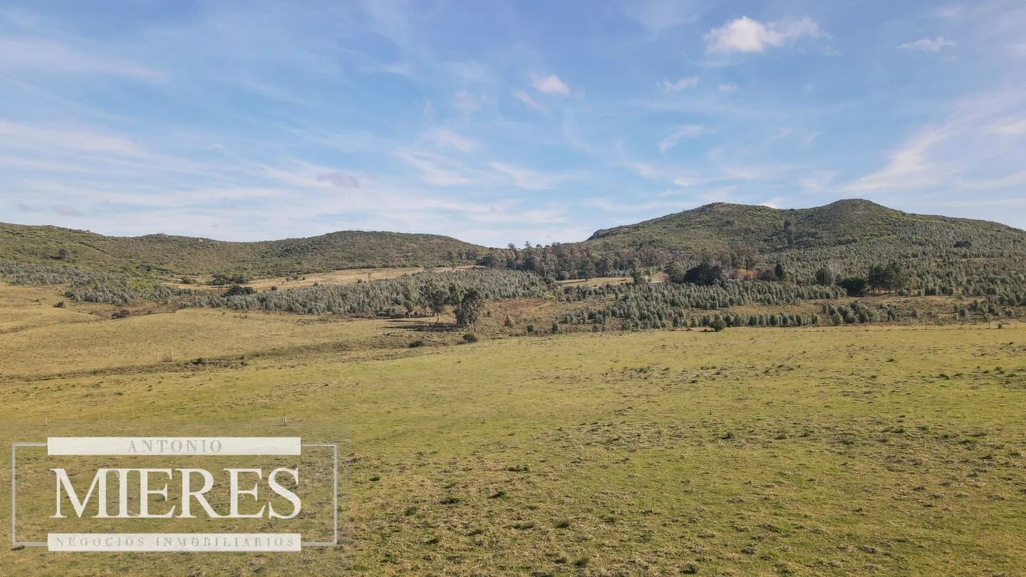 Campo en venta de 33 ha a 6 km de Pan de Azúcar — foto 15