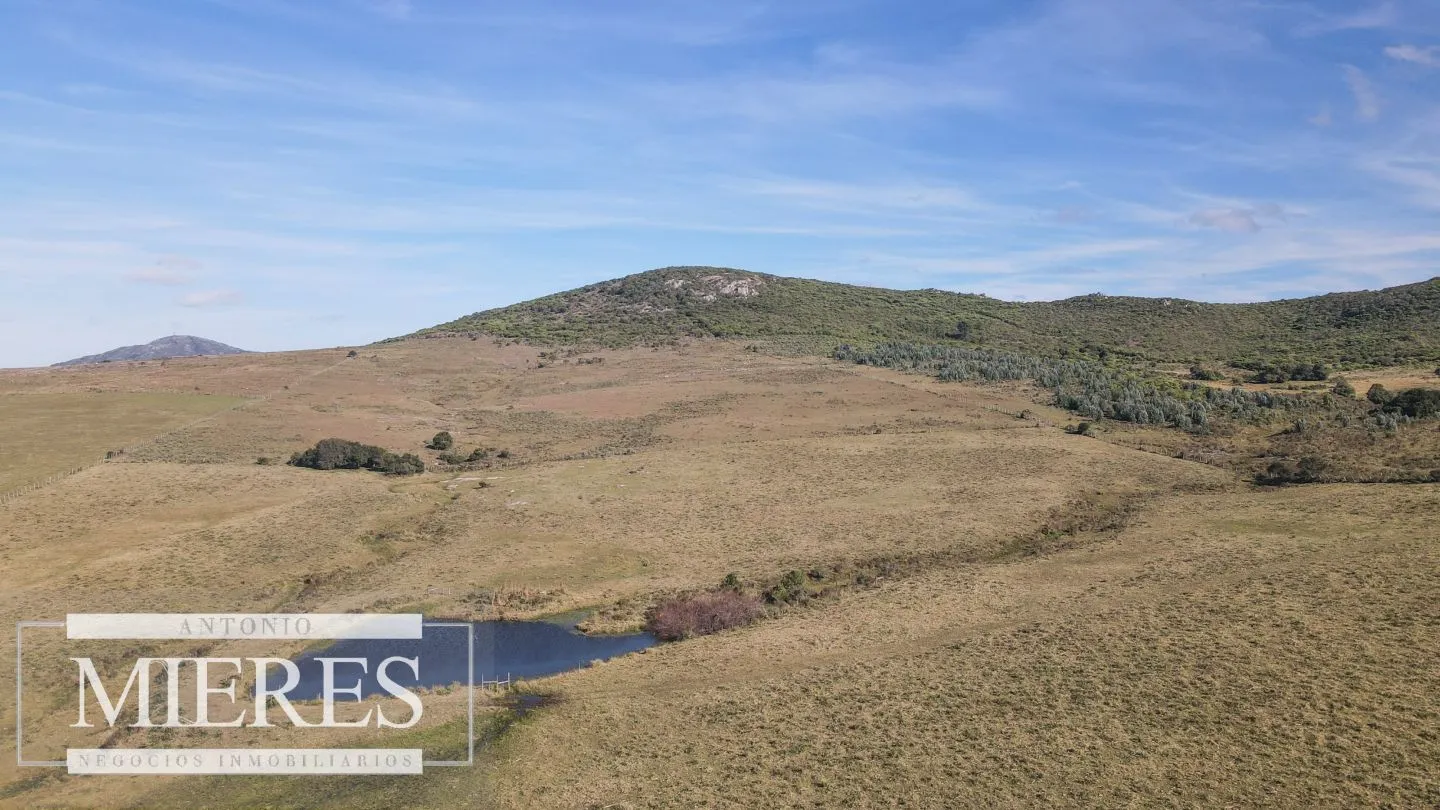 Campo en venta de 33 ha a 6 km de Pan de Azúcar — foto 16