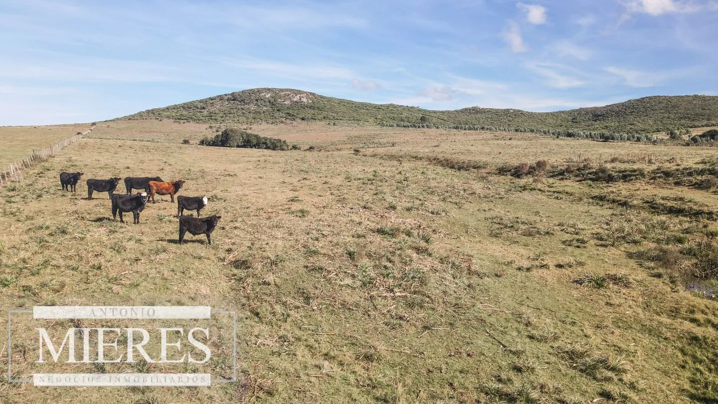 Campo en venta de 33 ha a 6 km de Pan de Azúcar — foto 17