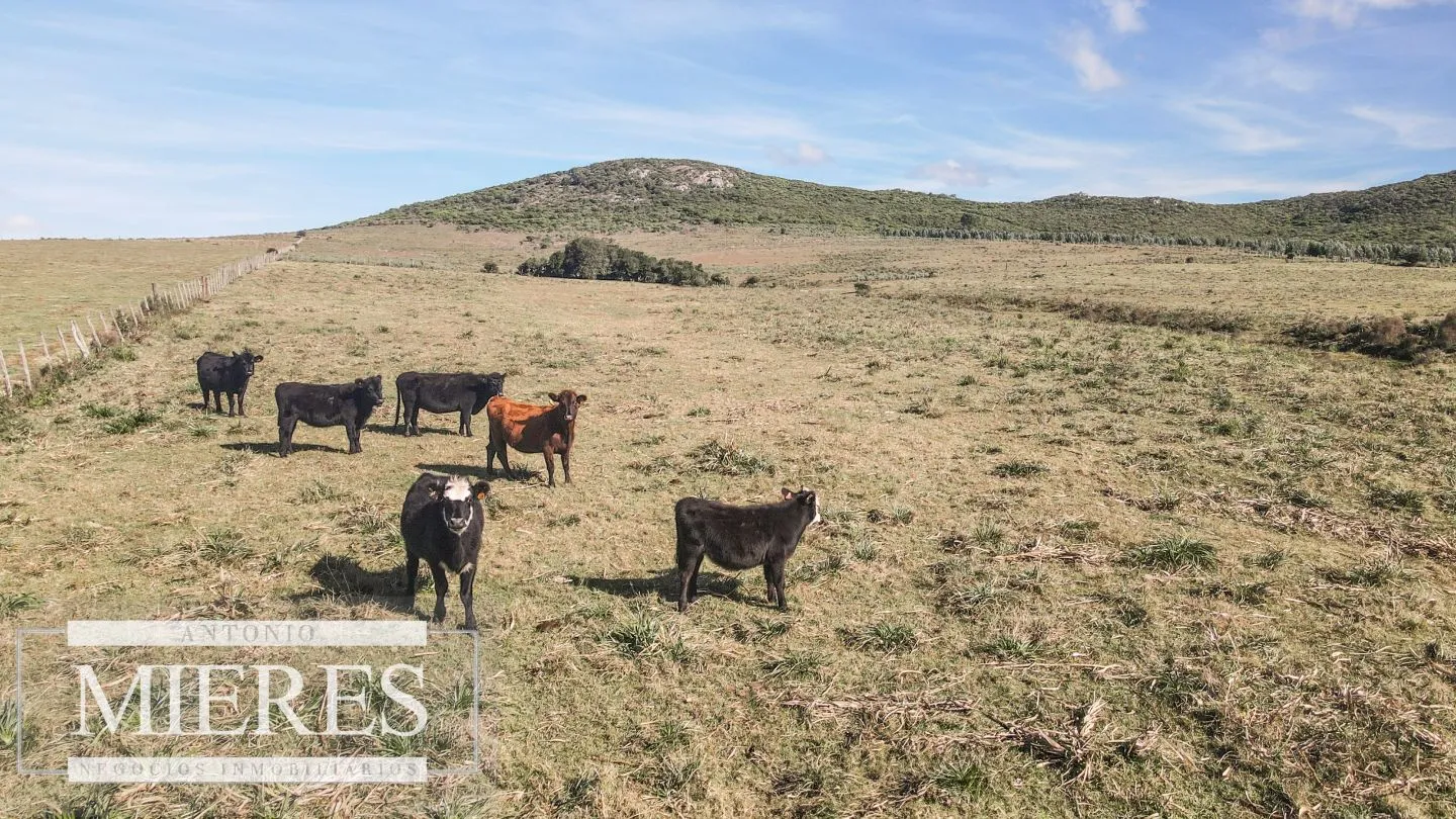 Campo en venta de 33 ha a 6 km de Pan de Azúcar — foto 18