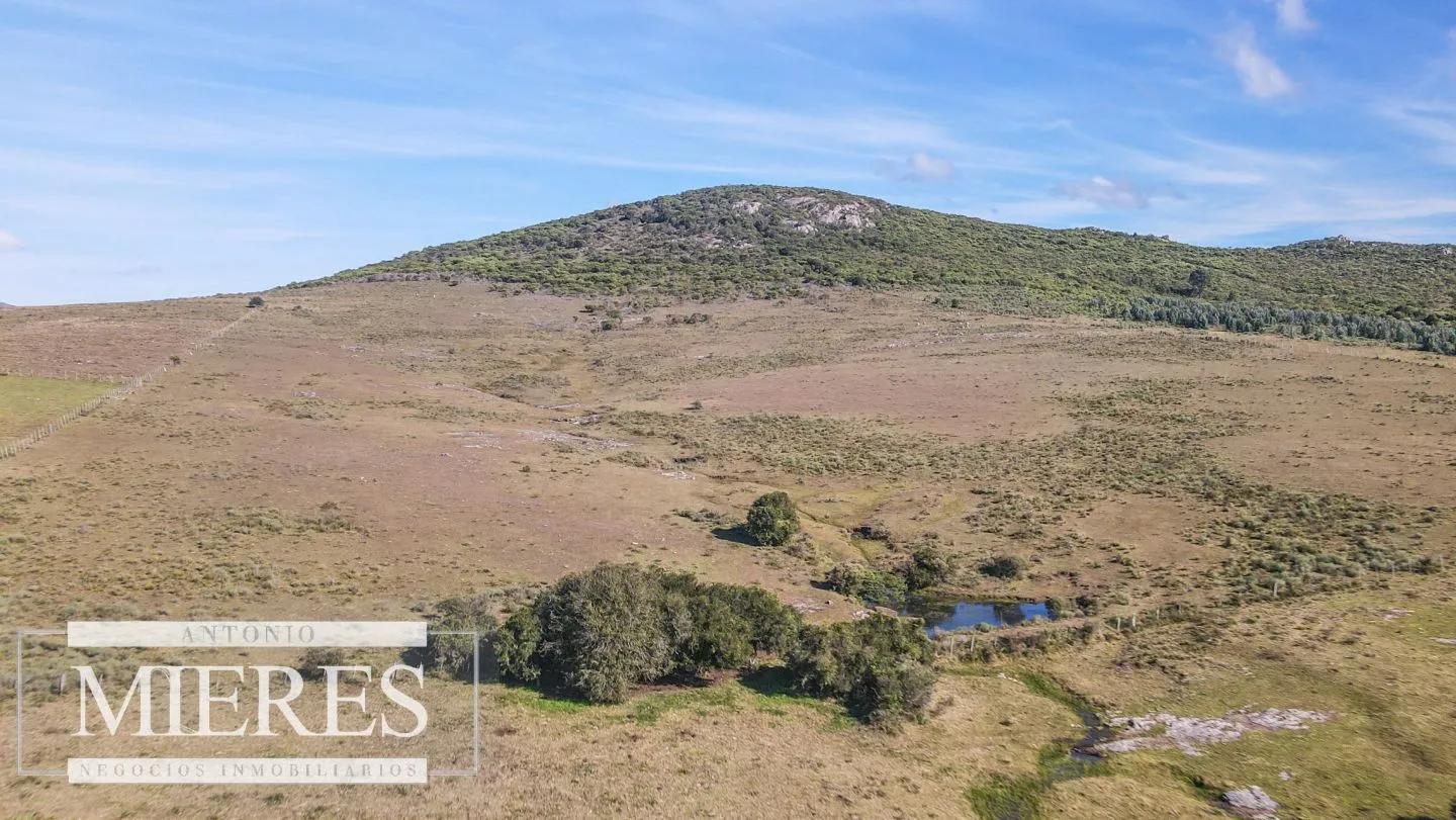 Campo en venta de 33 ha a 6 km de Pan de Azúcar — foto 19