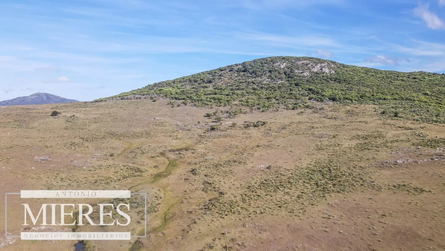 Campo en venta de 33 ha a 6 km de Pan de Azúcar — foto 20