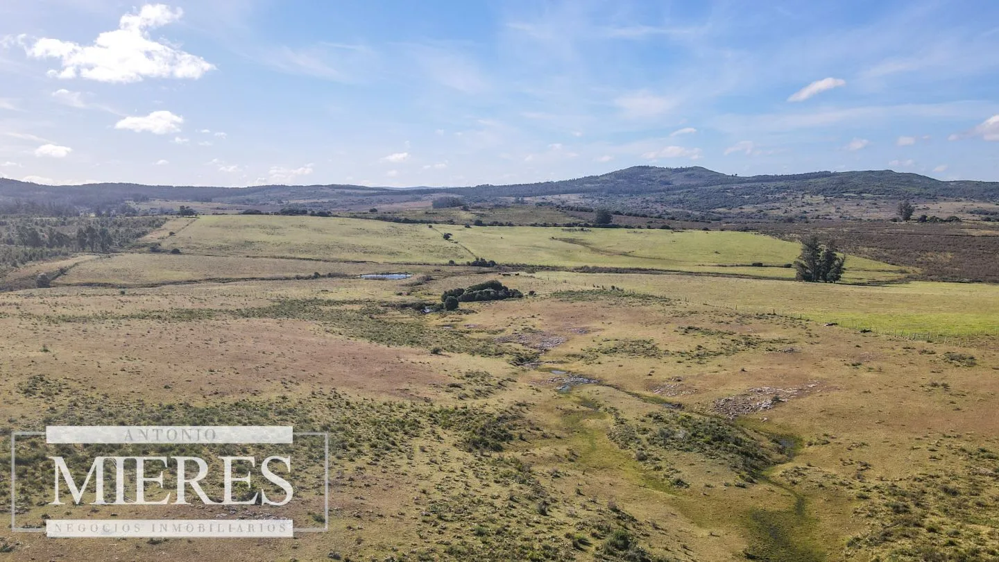 Campo en venta de 33 ha a 6 km de Pan de Azúcar — foto 21